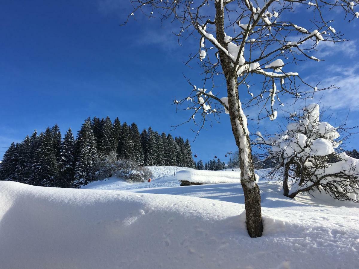 Apartamento Beim Rohrer Kirchberg in Tirol Exterior foto